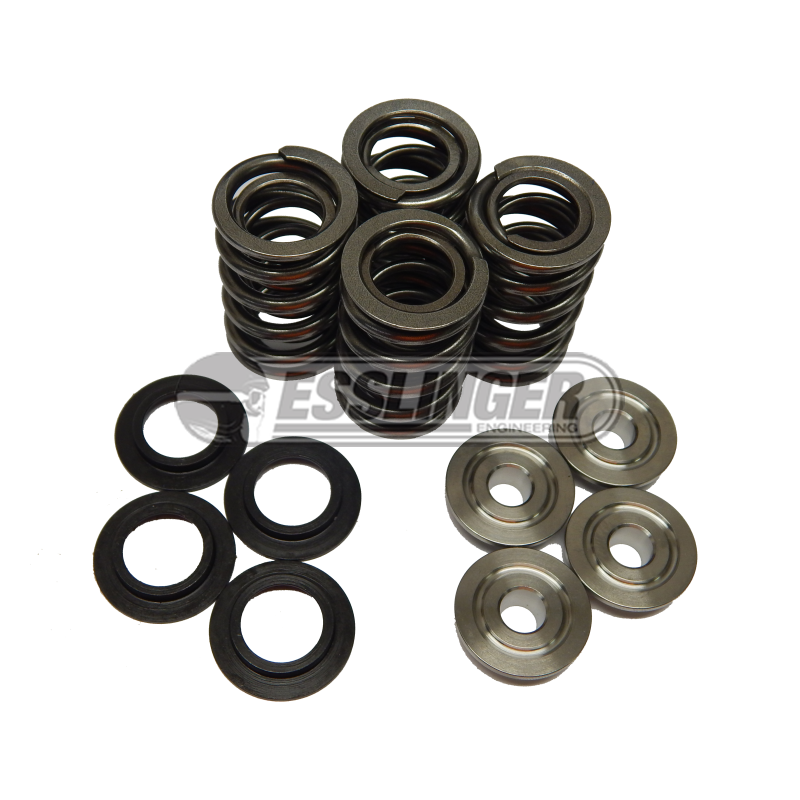 Pro-Series Duratec Dual Valvespring kit