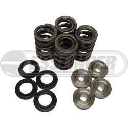 Pro-Series Duratec Dual Valvespring kit