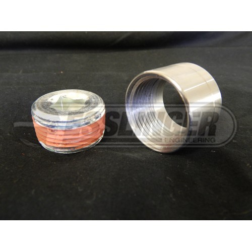 Oil Pan Sight Plug & Bung Kit