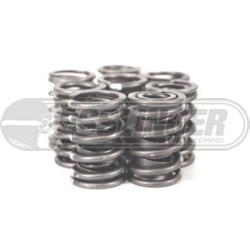 Dual Valve Springs for Solid Roller Cams