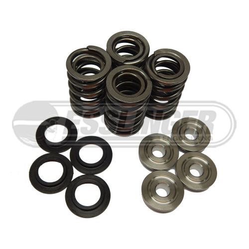 Pro-Series Duratec Dual Valvespring kit Pro-Series Duratec Dual Valvespring kit