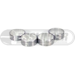 Cam Bearings