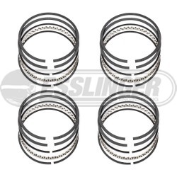 Sport-Series 2.5L Duratec Ring Set