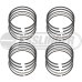 2L to 2.3L Duratec Stroker Kit